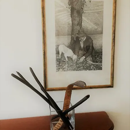 Apartment Casa 
